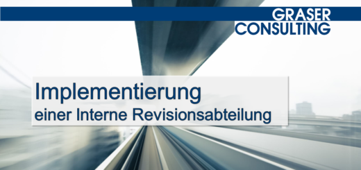 Implementierung einer Internen Revisionsabteilung